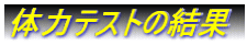 �̗̓e�X�g�̌���